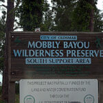 Mobbly Bayou Wilderness Preserve