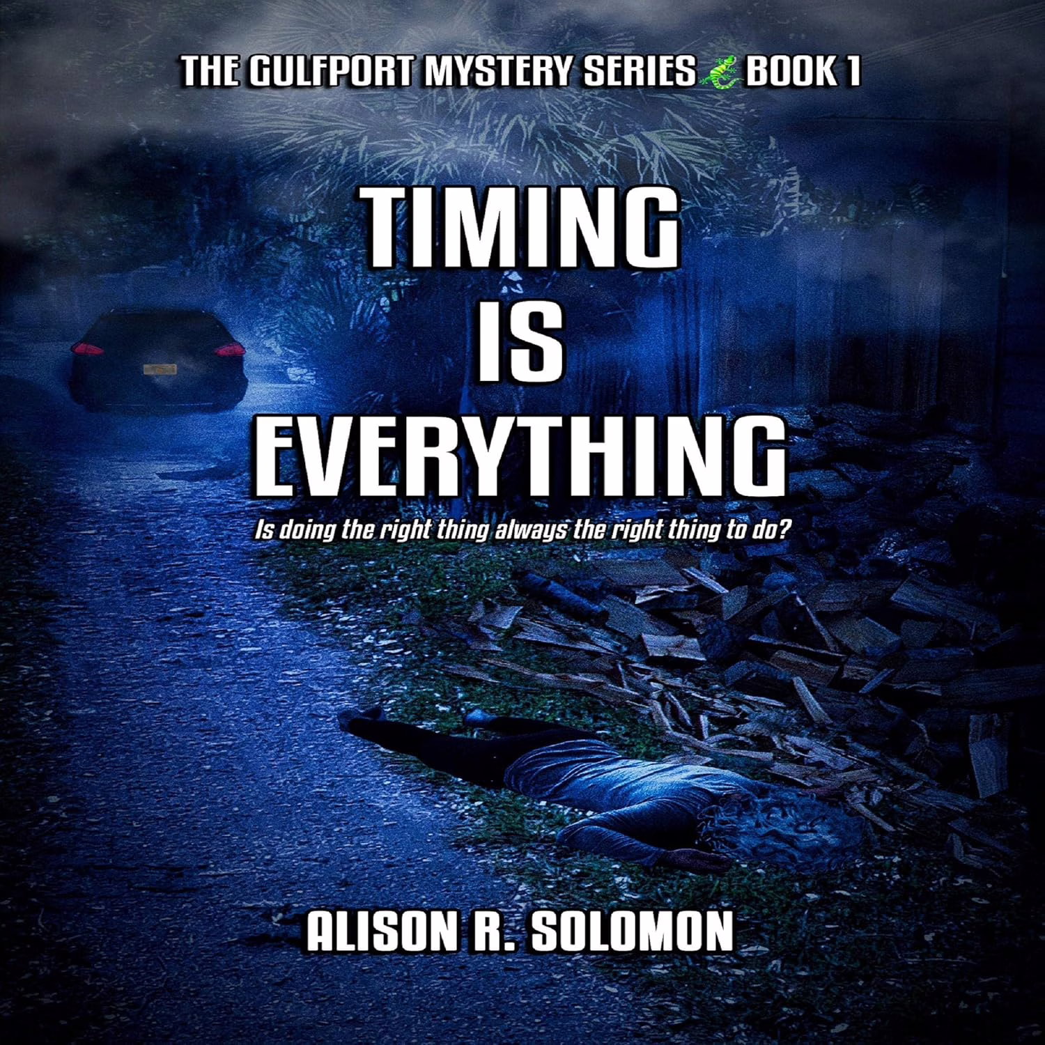 Timing Is Everything: The Gulfport Mystery Series, Book 1